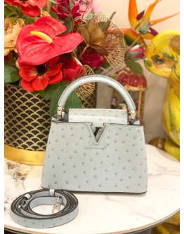 (BRAND NEW) LOUIS VUITTON MINI CAPUCINES OSTRICH LEATHER  IN GRIS PERLE
