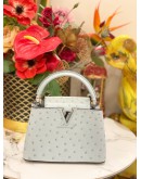 (BRAND NEW) LOUIS VUITTON MINI CAPUCINES OSTRICH LEATHER  IN GRIS PERLE