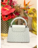 (BRAND NEW) LOUIS VUITTON MINI CAPUCINES OSTRICH LEATHER  IN GRIS PERLE