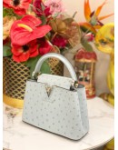 (BRAND NEW) LOUIS VUITTON MINI CAPUCINES OSTRICH LEATHER  IN GRIS PERLE
