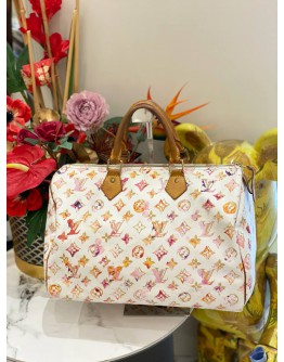 LOUIS VUITTON SPEEDY 35 RICHARD PRINCE MONOGRAM  WATERCOLOR AQUARELLE BAG