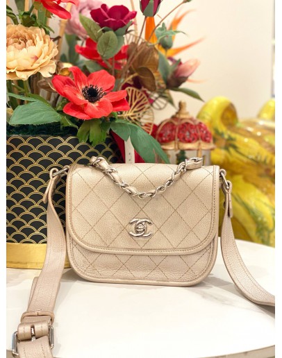CHANEL QUILTED IRIDESCENT CALFSKIN SMALL JUNGLE STROLL BAG