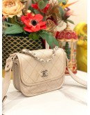 CHANEL QUILTED IRIDESCENT CALFSKIN SMALL JUNGLE STROLL BAG