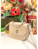 CHANEL QUILTED IRIDESCENT CALFSKIN SMALL JUNGLE STROLL BAG