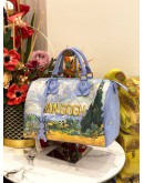 LOUIS VUITTON MASTERS COLLECTION VAN GOGH SPEEDY 30 HANDBAG 