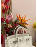 (LIKE NEW) 2023 HERMES BIRKIN 25 IN VERT FIZZ SWIFT LEATHER WITH PALLADIUM HARDWARE -FULL SET-