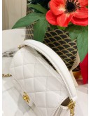 CHANEL HANDLE & CROSSBODY