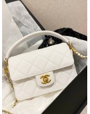 CHANEL HANDLE & CROSSBODY