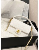 CHANEL HANDLE & CROSSBODY