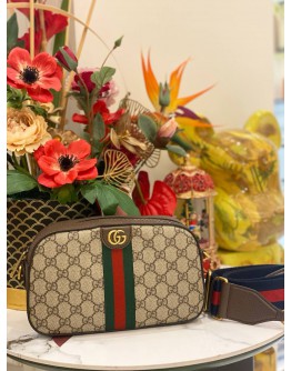 (LIKE NEW) GUCCI GG SUPREME OPHIDIA CAMERA BAG FULL SET