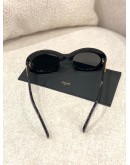 2024 CELINE TRIIMPHE 01 SUNGLASSES IN ACETATE IN BLACK FULL SET